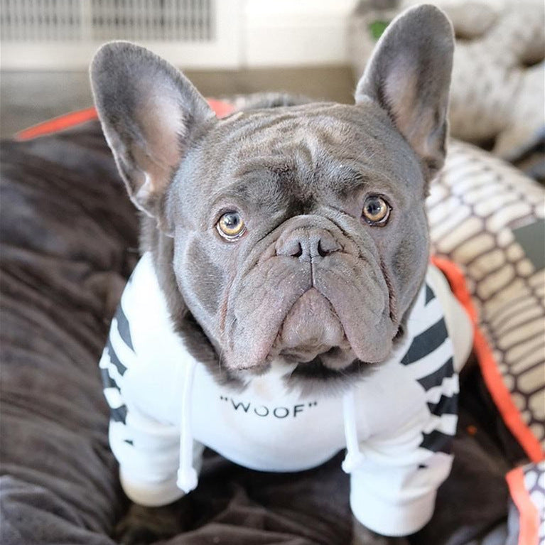 Keep Your Pup Stylish and Warm This Season with Spoof Dog Clothes!